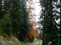 2007-09-19-allgaeu-11