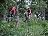 2008-06-16-notweiler-Header 88 : MTB, Nothweiler