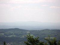 2010-06-03-05-grasellenbach-165 : MTB, Odenwald