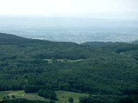 2010-06-03-05-grasellenbach-97 : MTB, Odenwald