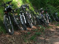 2010-06-05-grasellenbach-104 : MTB, Odenwald