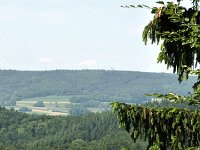 2010-06-05-grasellenbach-109 : MTB, Odenwald