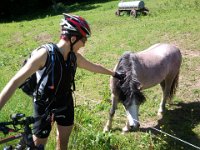 2010-06-05-grasellenbach-153 : MTB, Odenwald