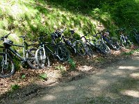 2010-06-05-grasellenbach-19 : MTB, Odenwald