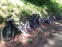 2010-06-05-grasellenbach-26 : MTB, Odenwald