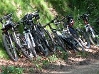 2010-06-05-grasellenbach-38 : MTB, Odenwald