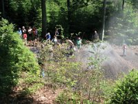 2010-06-05-grasellenbach-39 : MTB, Odenwald