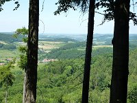 2010-06-05-grasellenbach-89 : MTB, Odenwald