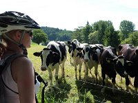 2010-06-06-grasellenbach-50 : MTB, Odenwald