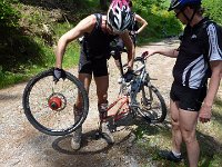 2010-06-06-grasellenbach-59 : MTB, Odenwald