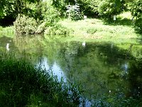 2010-06-06-grasellenbach-7 : MTB, Odenwald