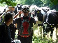 2010-06-06-grasellenbach-8 : MTB, Odenwald