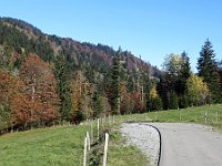 Herbst-OA-rundumdenprodel-19 : Allgäu, Allgäu Herbst 2012, MTB, Rund um den Prodel