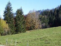 Herbst-OA-rundumdenprodel-20 : Allgäu, Allgäu Herbst 2012, MTB, Rund um den Prodel