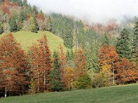 Herbst-OA-rundumdenprodel-22 : Allgäu, Allgäu Herbst 2012, MTB, Rund um den Prodel