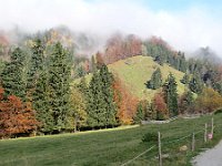 Herbst-OA-rundumdenprodel-23 : Allgäu, Allgäu Herbst 2012, MTB, Rund um den Prodel