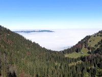 Herbst-OA-rundumdenprodel-8 : Allgäu, Allgäu Herbst 2012, MTB, Rund um den Prodel