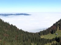 Herbst-OA-rundumdenprodel-9 : Allgäu, Allgäu Herbst 2012, MTB, Rund um den Prodel