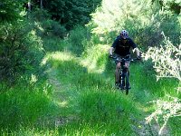 2015-Annweiler-1-1 : Annweiler am Triefels, MTB