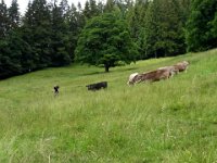 2011-Allgäu 01--14