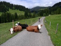 2011-Allgäu 01--9