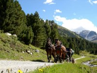 TA 2006-03-Tag-122 : MTB, Transalp, Transalp 2006