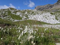 TA2015-02-0018 : Gsteig Moustiers, MTB, Transalp, Transalp 2015