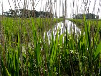 2009-05-18-ostsee-20 : Fischland, Fischland/Ostsee, MTB