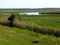 2009-05-18-ostsee-24 : Fischland, Fischland/Ostsee, MTB