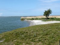 2009-05-18-ostsee-3 : Fischland, Fischland/Ostsee, MTB