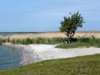 2009-05-18-ostsee-4 : Fischland, Fischland/Ostsee, MTB