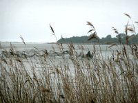 2009-05-18-ostsee-45 : Fischland, Fischland/Ostsee, MTB