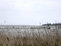 2009-05-18-ostsee-46 : Fischland, Fischland/Ostsee, MTB