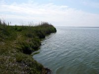 2009-05-18-ostsee-5 : Fischland, Fischland/Ostsee, MTB