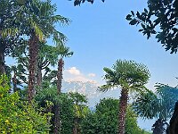 2024-AlpenX-Tag06-26 : Comersee, MTB, Transalp